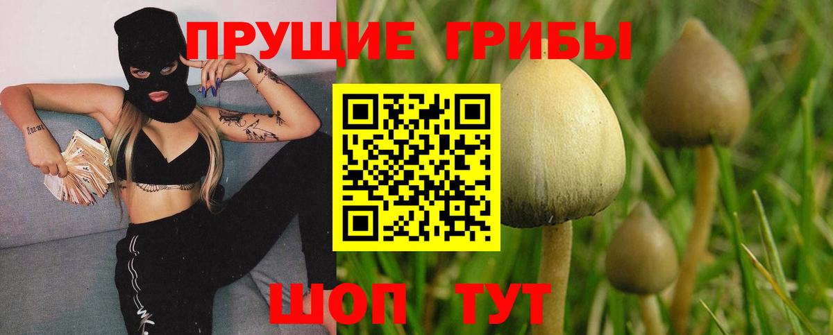 Галлюциногенные грибы мицелий  Вход с VPN  Псилоцибиновые грибы Magic Shrooms  Гудермес 